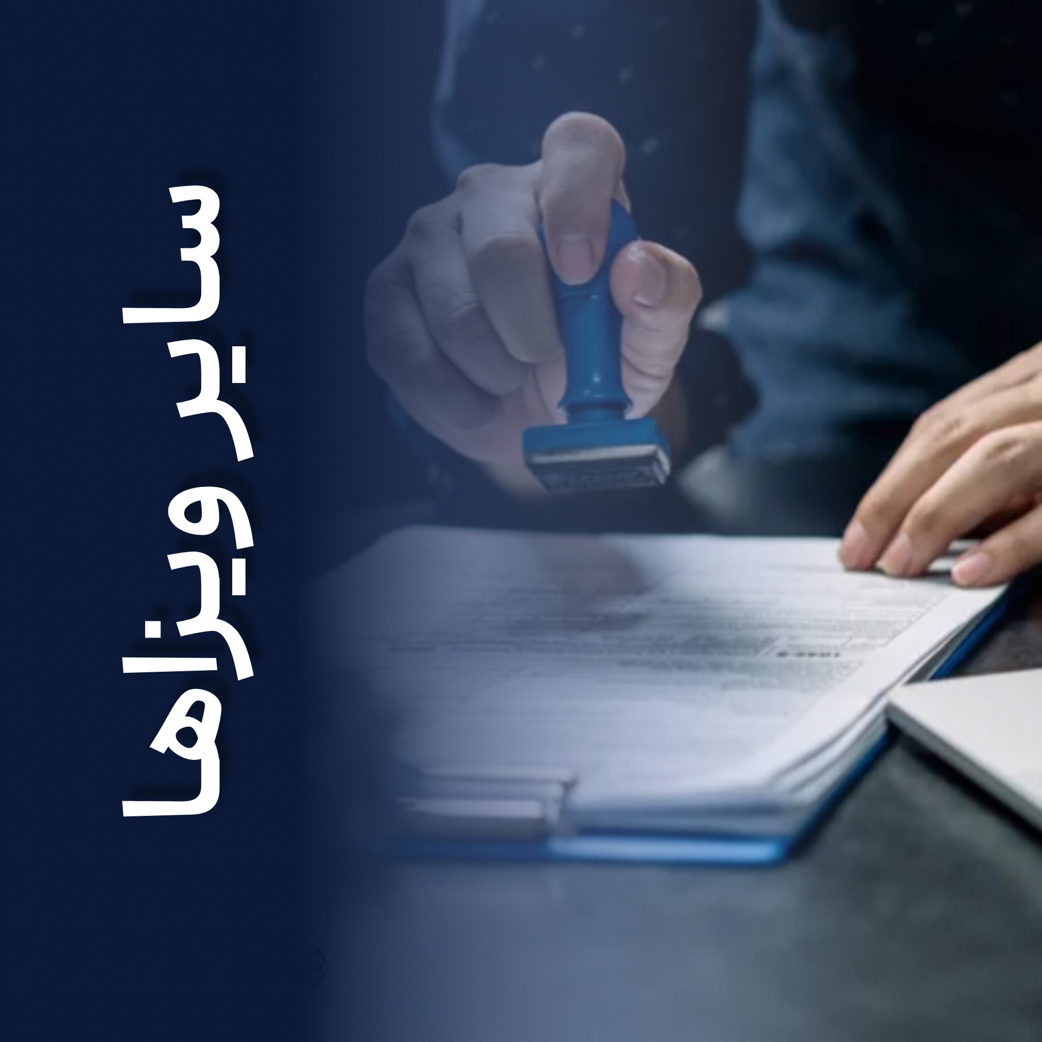 سایر